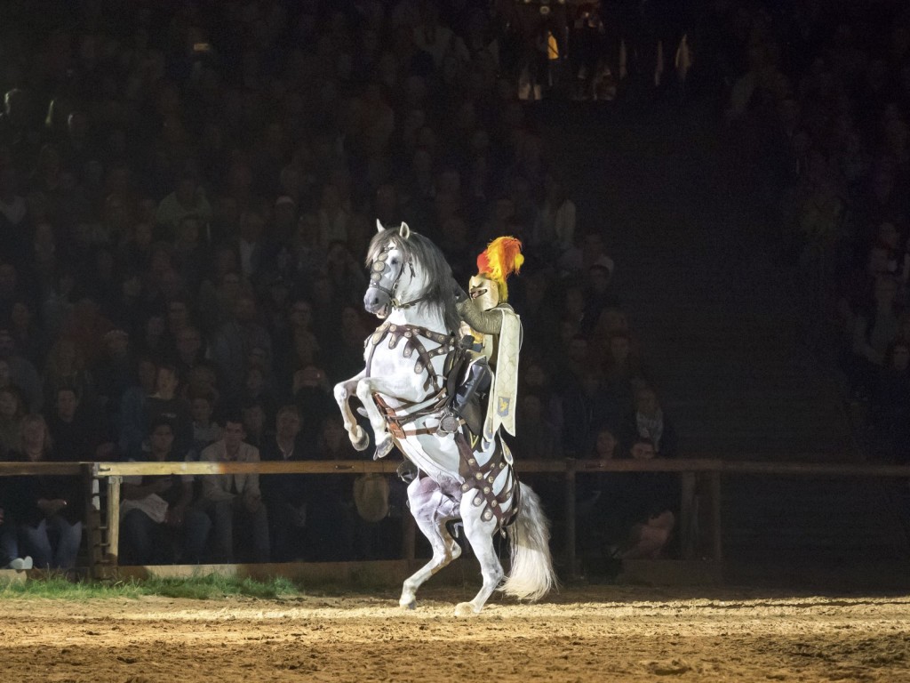 Der Letzte Ritter (Kaltenberger Ritterturnier) – Szenenfoto 2